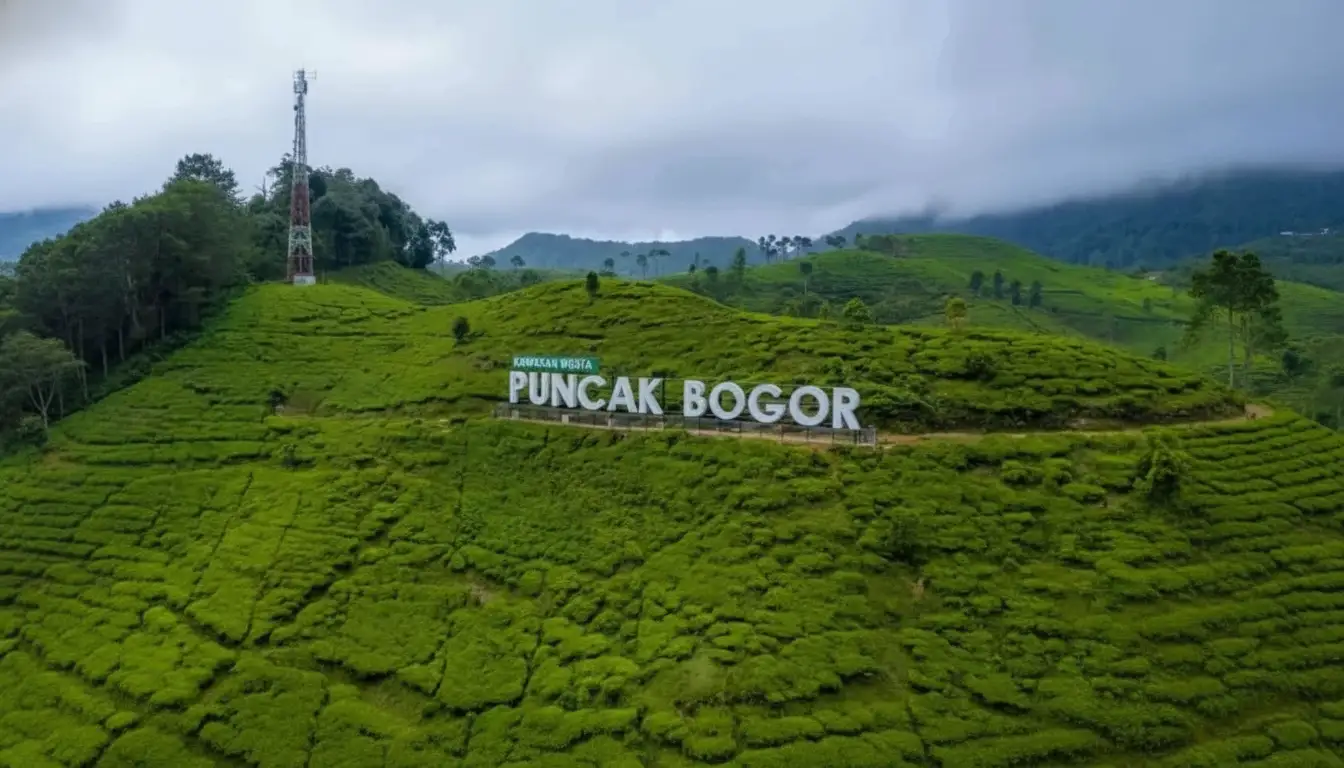 sewa bus pariwisata ke puncak bogor